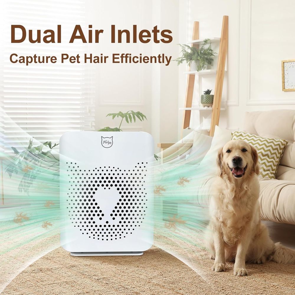 2-in-1 HEPA Air Purifier for P - Air Purifier Hepa 리뷰 및 가격