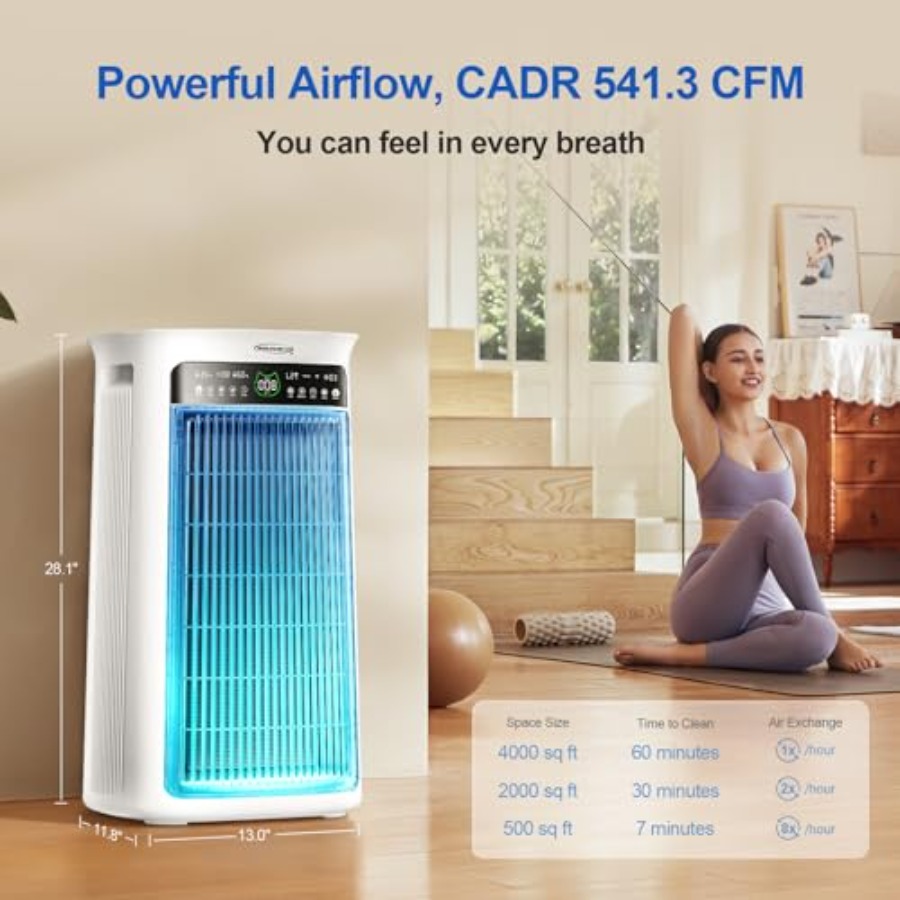 Large Room Air Purifier with T - Air Purifier Hepa 리뷰 및 가격