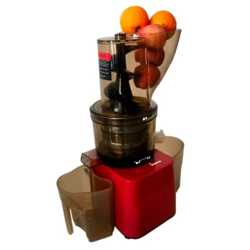 Stainless Steel Fruit Vegetabl - Cold Press Juicer 리뷰 및 가격