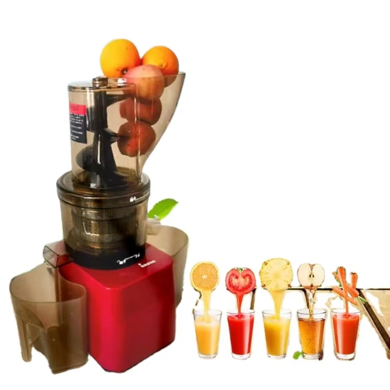 Stainless Steel Fruit Vegetabl - Cold Press Juicer 리뷰 및 가격