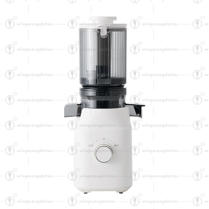 Slow Masticating Juicer with P - Cold Press Juicer 리뷰 및 가격