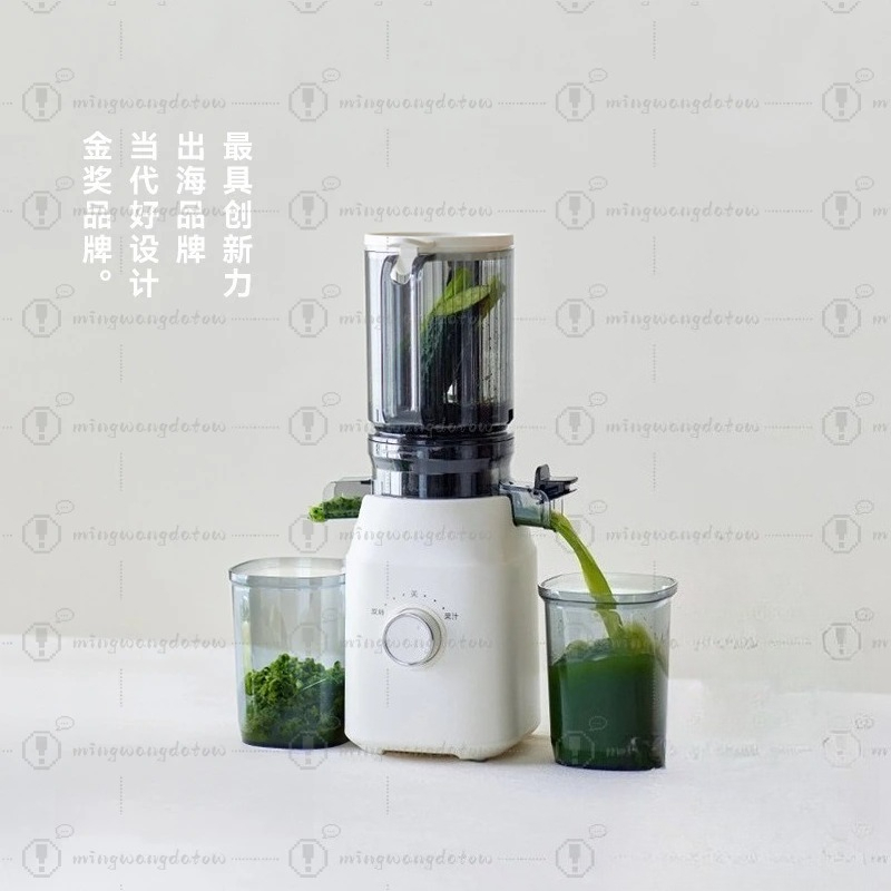 Slow Masticating Juicer with P - Cold Press Juicer 리뷰 및 가격