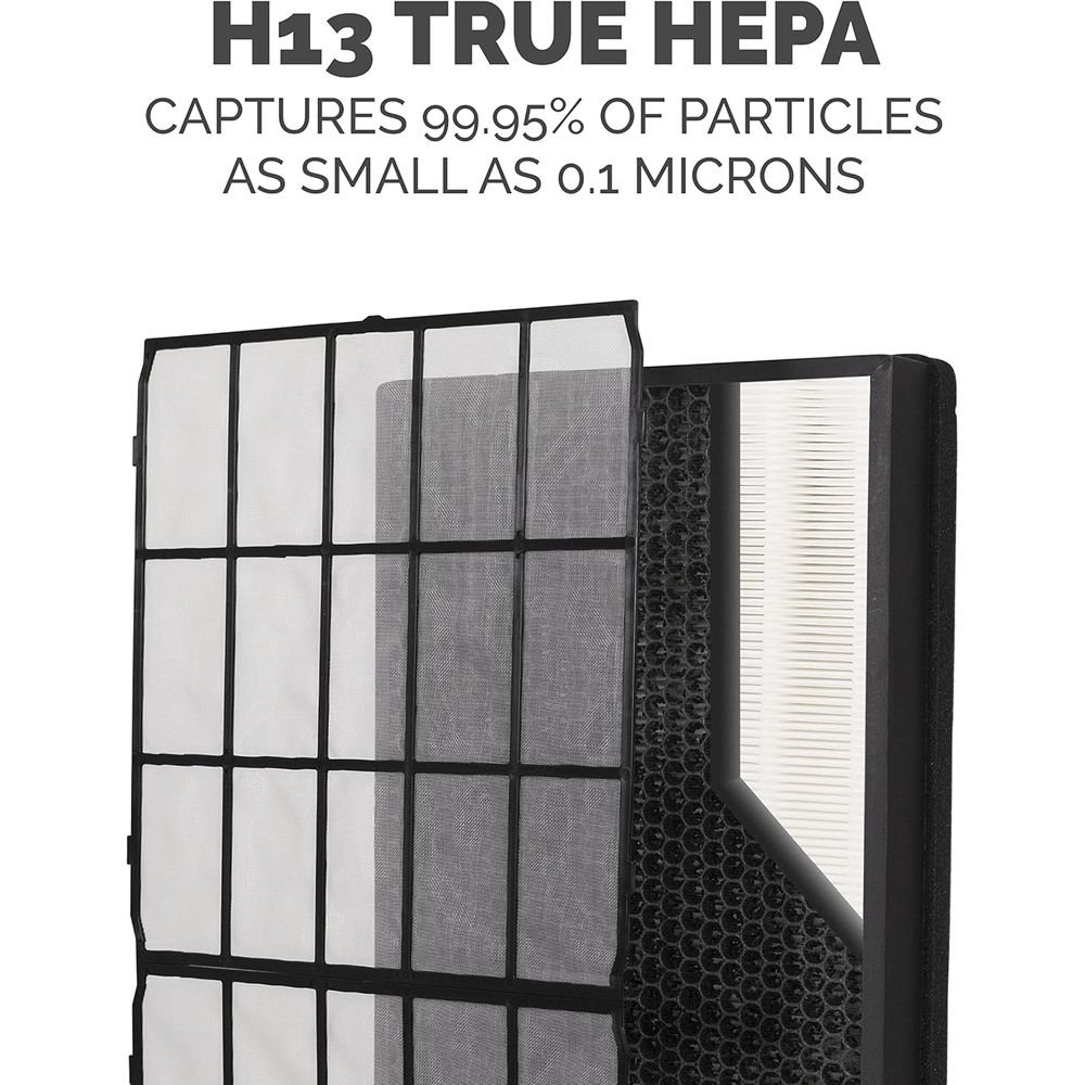 2-Pack Large Room HEPA/Carbon  - Air Purifier Hepa 리뷰 및 가격