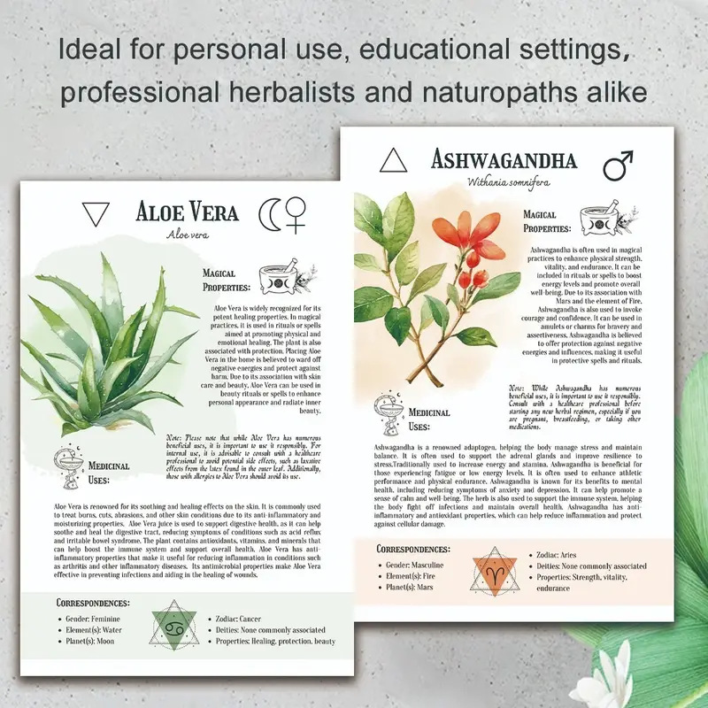 Natural Remedies Handbook with - Health & Wellness Website 리뷰 및 가격