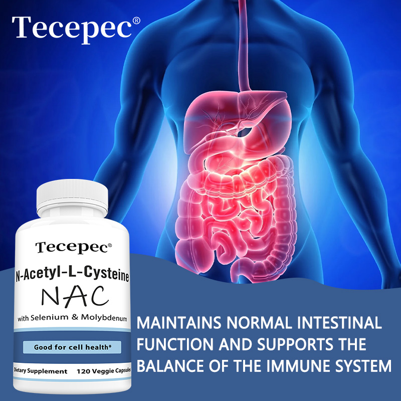 NAC Capsules – Antioxidant, Su - Health Wellness And 리뷰 및 가격