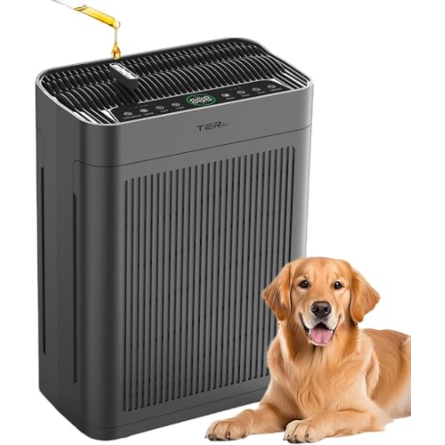 Home air purifier for large ro - Air Purifier Hepa 리뷰 및 가격
