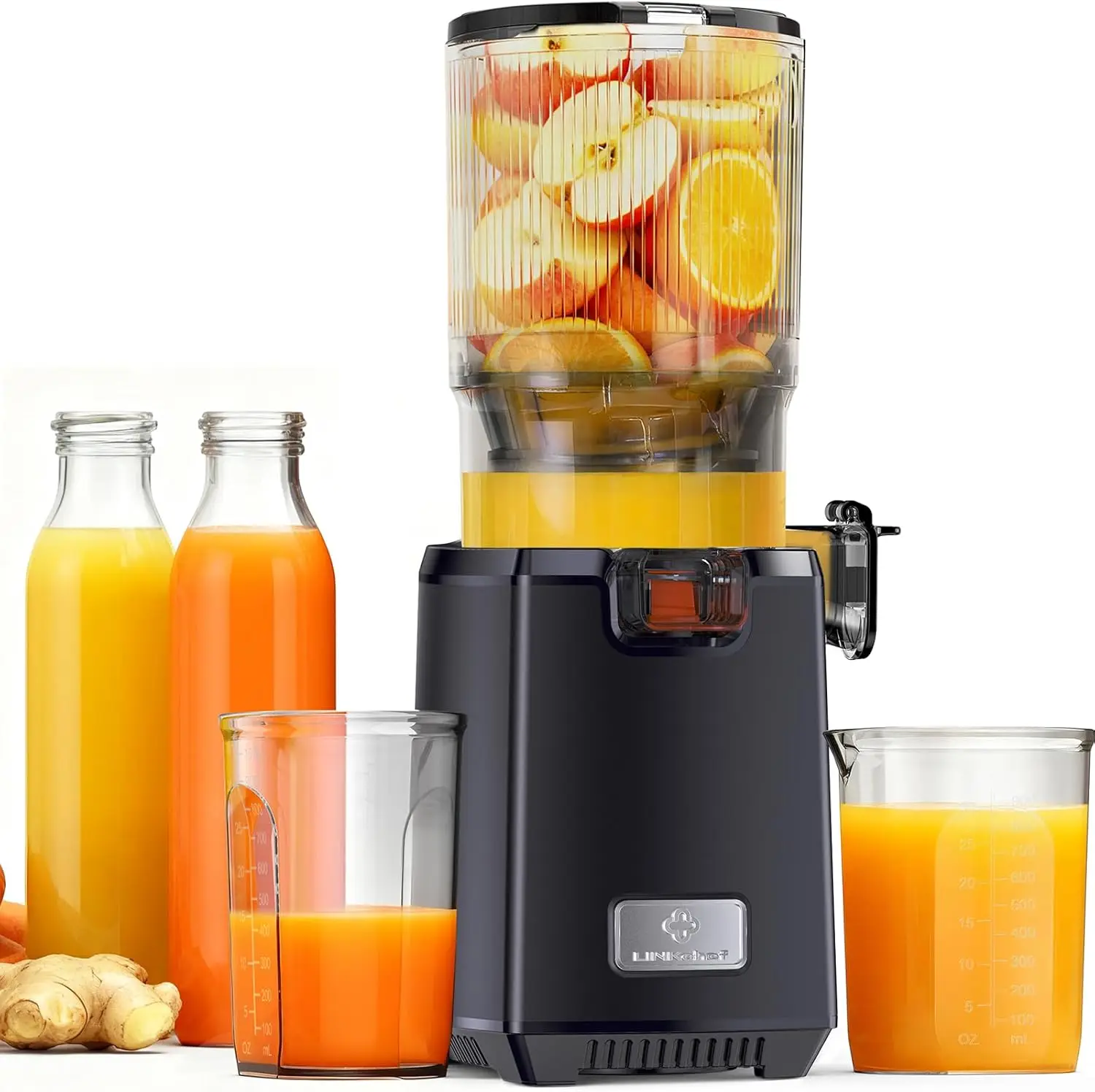 Cold Press Juicer Machines, 13 - Cold Press Juicer 리뷰 및 가격
