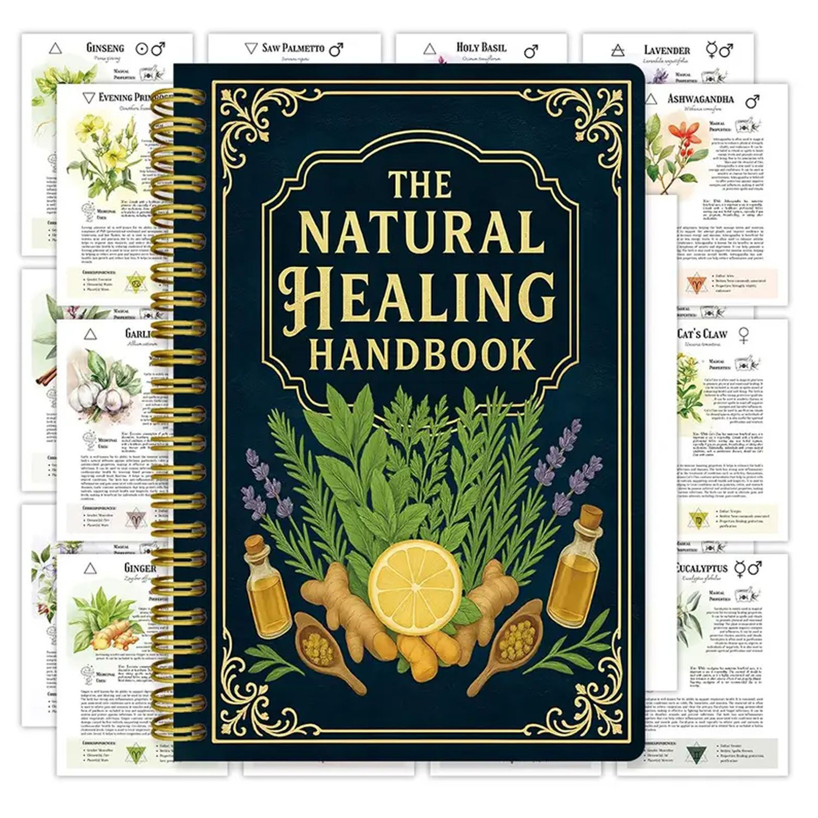 Natural Therapy Handbook, an E - Health & Wellness Website 리뷰 및 가격