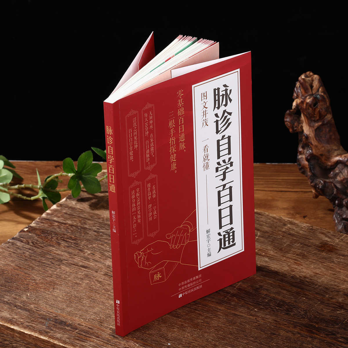 Pulse Diagnosis Self Study Hun - Health & Wellness Website 리뷰 및 가격