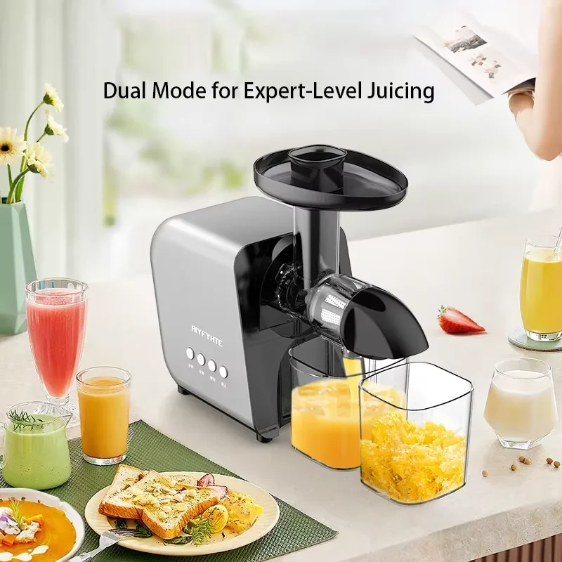 250W Slow Cold Press Fruit Jui - Cold Press Juicer 리뷰 및 가격