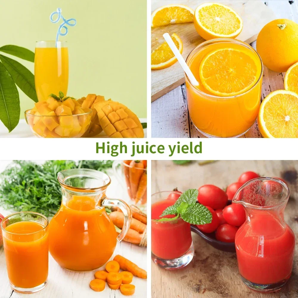 250W Slow Cold Press Fruit Jui - Cold Press Juicer 리뷰 및 가격